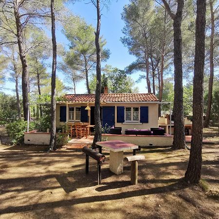 Maisonnette En Pleine Nature Le Beausset Ngoại thất bức ảnh
