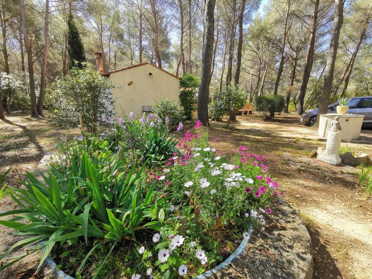 Maisonnette En Pleine Nature Le Beausset Ngoại thất bức ảnh